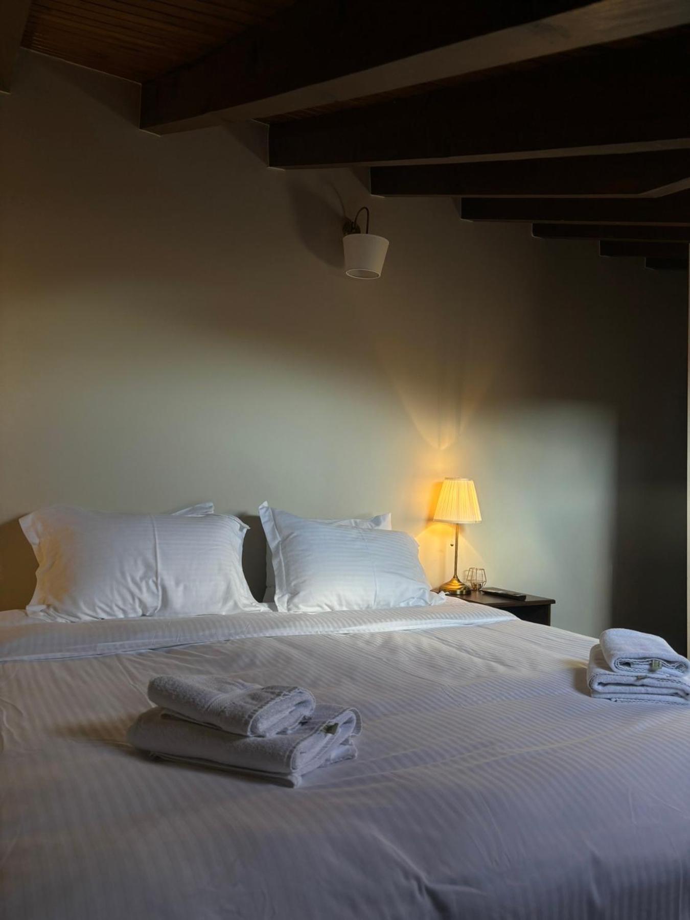 Guesthouse Lousios 蒂米萨那 外观 照片